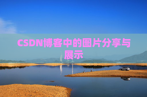 CSDN博客中的图片分享与展示